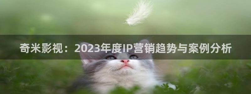 神马影院理论午夜片